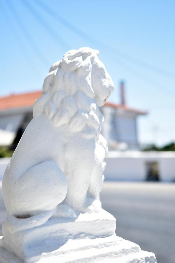 Lions House Pythagorio Villa Bagian luar foto